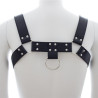 Generique Harnais SM Upper Body Chest